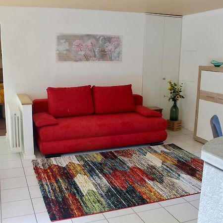 Casa Ortensia Apartman Gambarogno Kültér fotó
