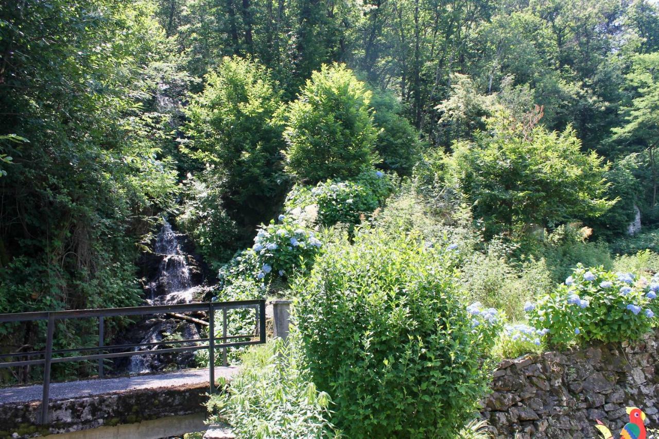 Casa Ortensia Apartman Gambarogno Kültér fotó