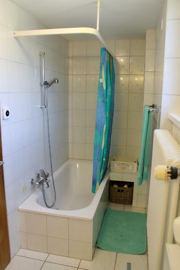 Casa Ortensia Apartman Gambarogno Kültér fotó